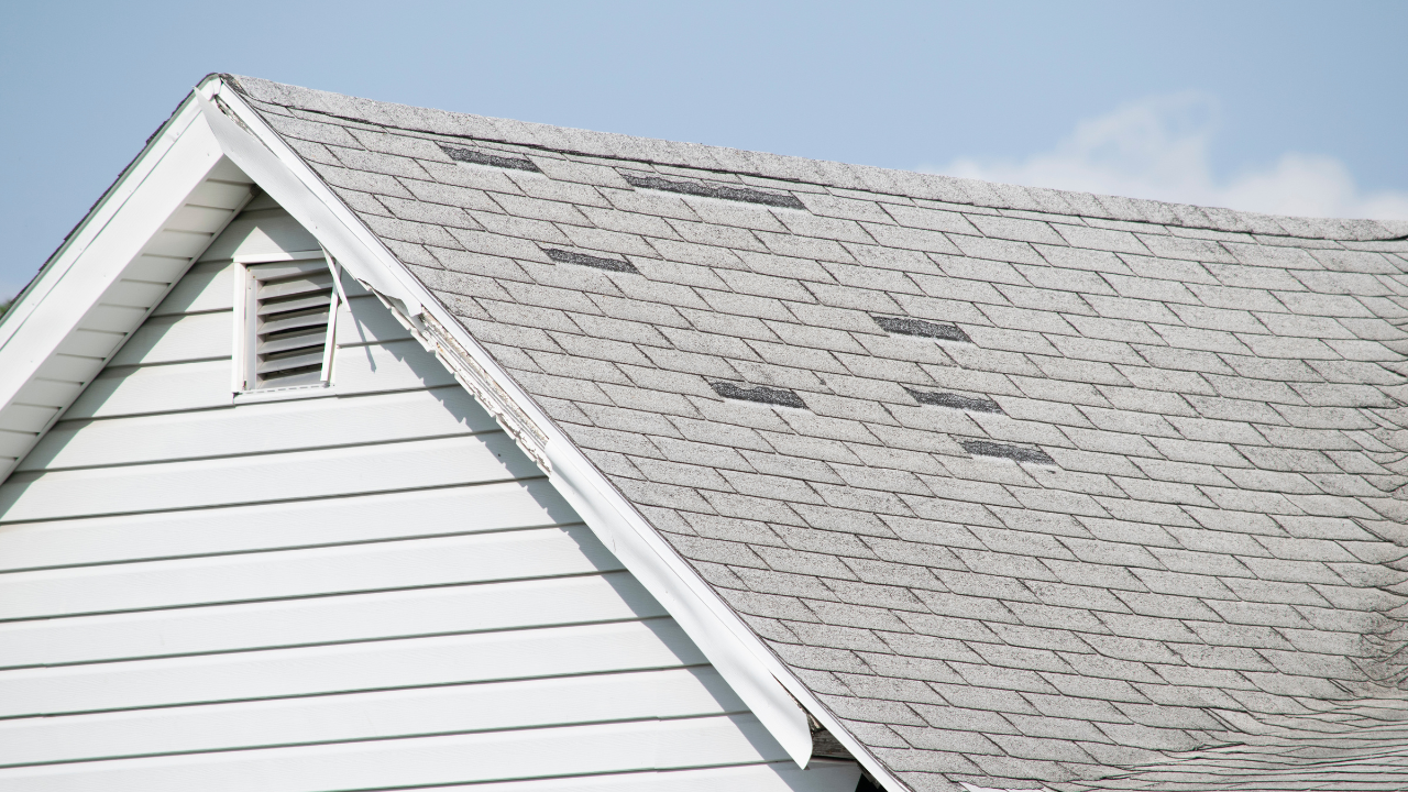 shingle damage and wear